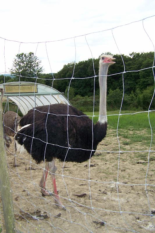 LCW Tagesfahrt 2012 Dernau 009